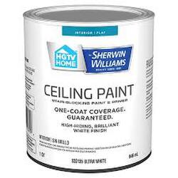 Kaleidoscope Non Drip Ceiling White- 5 Gallon 